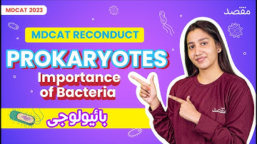 What is Prokaryotic Cell Division? | MDCAT 2023 Biology with Miss Tooba #mdcatreconduct