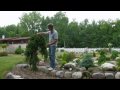 Landscaping with conifers rosehill gardens series episode three