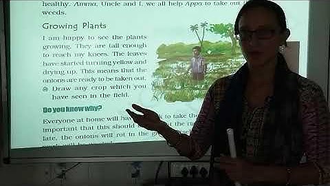 NCERT | CLASS IV | EVS  | CH 14 | BASVA 