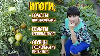 ИТОГИ экспериментов 🍅 Пасынкование томатов 🥒 Подкормка огурцов 🌿 Томаты - теплица или грунт