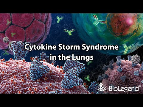 Cytokine Storm Syndrome in the Lungs