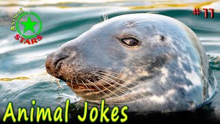 Animal Jokes 🐶 🐒 🐼 Funny Dogs Cute Cats Amazing Pets Funny Jokes 2020 №11 by Animal Stars 551 views 3 years ago 5 minutes, 24 seconds