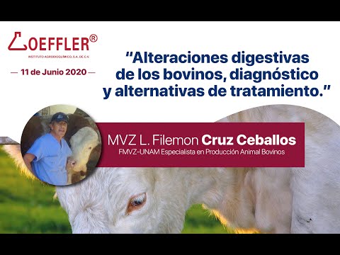 Video: Diagnóstico Y Tratamiento De Afecciones Cardíacas Y Estomacales En Vacas
