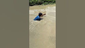 Liều bắt cá khủng