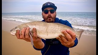 Fishing for Corbina and Surf Perch in Newport Beach