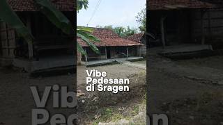 Suasana Desa Bikin Rindu sragen shorts
