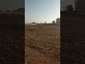 🐂🐂₹$$नाद एकच एकाच फक्त बैलं गाडा शर्यत$$.₹₹🐂🐂