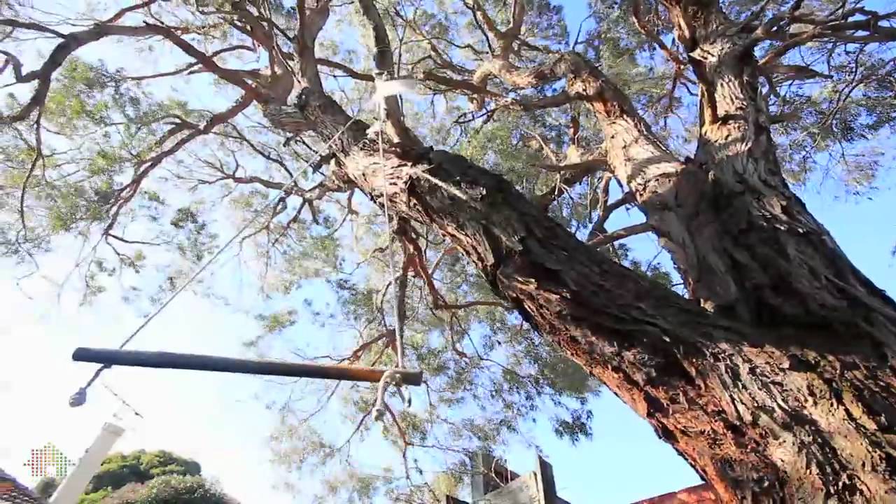 Gary Peer & Associates, 454 Glen Eira Road, Caulfield, Glenn Bricker