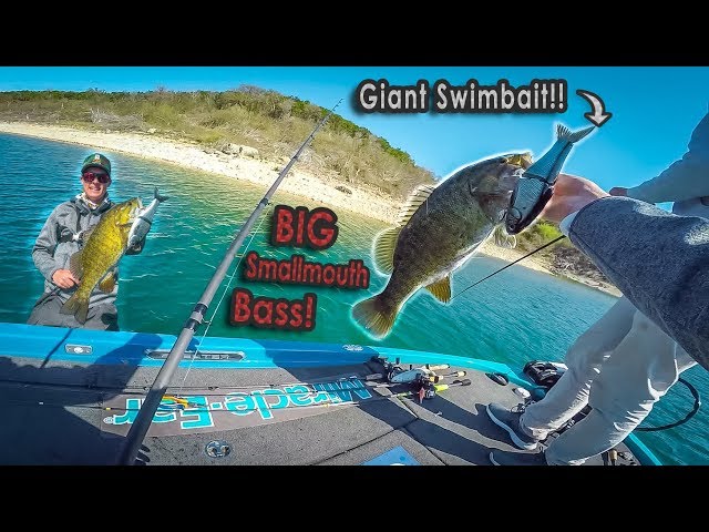 Fishing GIANT Swimbaits For SMALLMOUTH BASS?? 