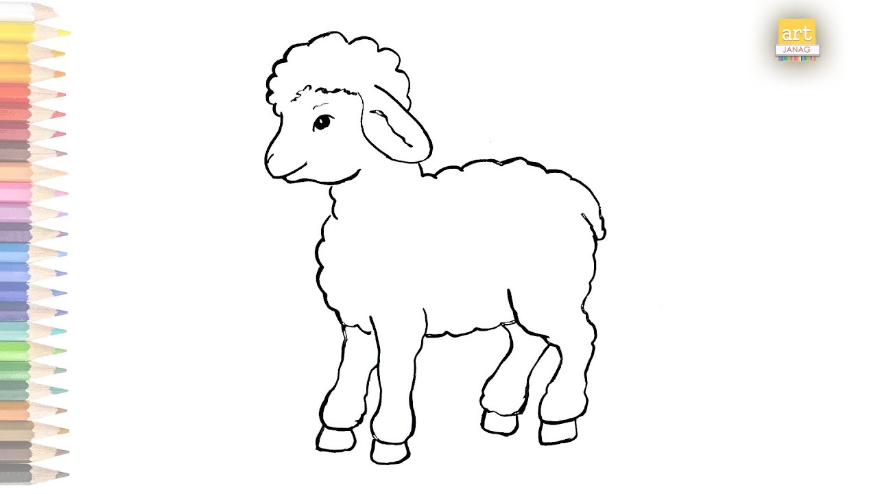 Lamb outline drawing / How to draw A Sheep drawing for kids ...