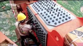 cây cau day vang cao nhất thế giới-cách mặt đất những 540m cây cau day vang cao nhất thế giới-cách mặt đất những 540m