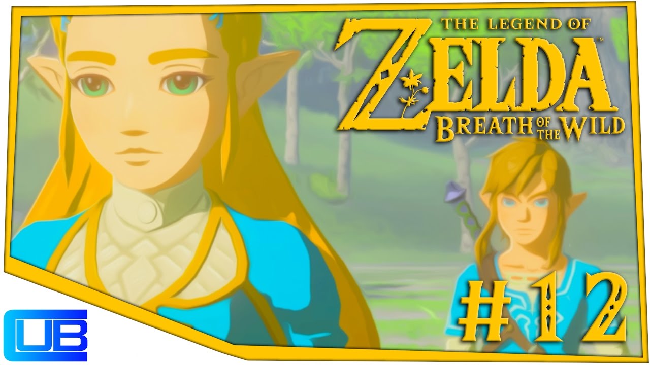 Excuse Me Princess The Legend Of Zelda Breath Of The Wild 12 Youtube