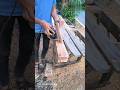 How to door frame groove cutting with cattar machine 🛠️ door par groove cutting kaise kare #cattar