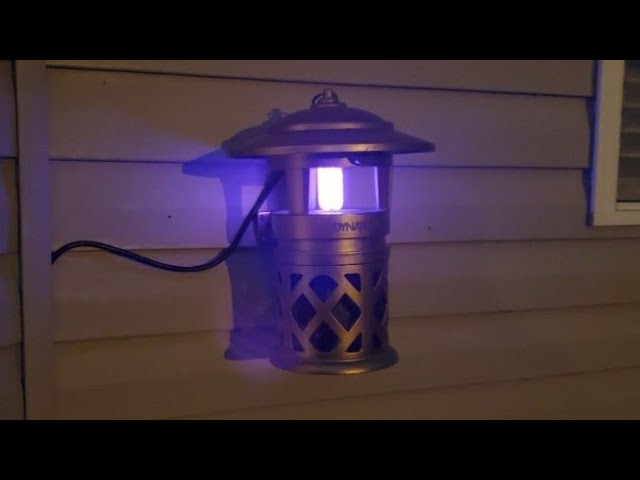 Getting Rid of Annoying Flying Pests Outside with Dynatrap - Review -  HighTechDad™