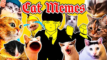 Bling Bang Bang Born x Cat Memes