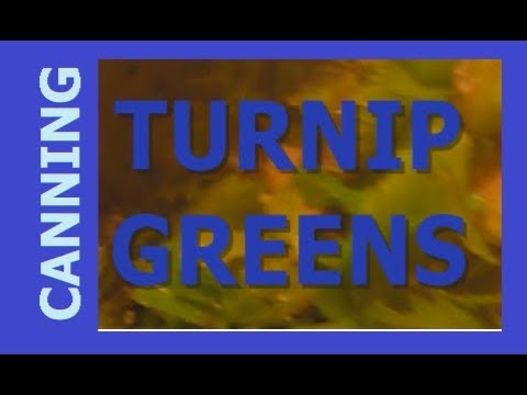 HOMESTEAD CANNING - Turnip Greens