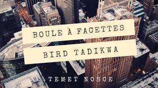 02 - Bird - Temet Nosce