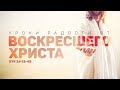 Уроки радости от воскресшего Христа (Алексей Коломийцев)