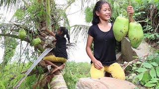 My Natural Food: Find Food Meet Natural Coconut Fruit For Eat Near Water Flow #7