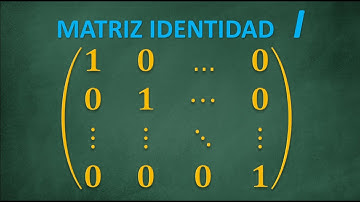 Matriz Identidad ¿Qué es? y ¿Cuáles son sus propiedades?