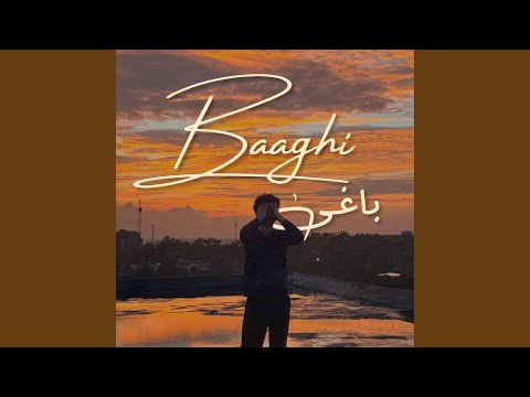 Baaghi