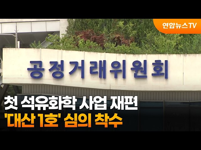 첫 석유화학 사업 재편 '대산 1호' 심의 착수 / 연합뉴스TV (YonhapnewsTV)