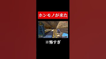 過去一ヤバイ野良に会った結果... #shorts #apex #apexlegends
