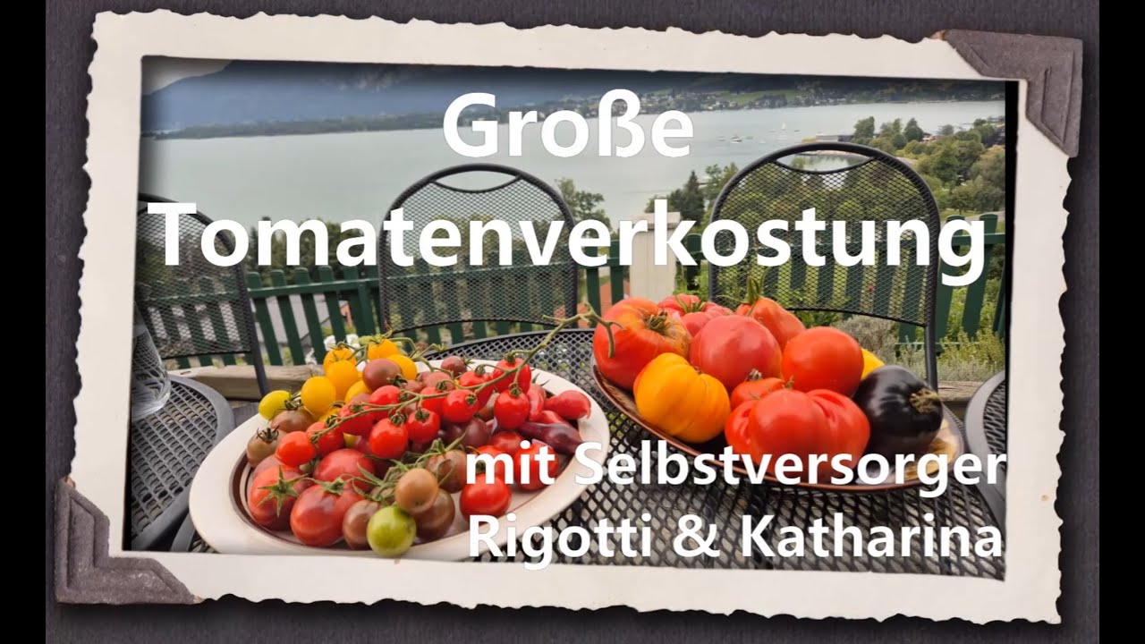 Große Tomatenverkostung 2025