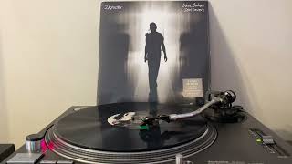 Dave Gahan - Always on my mind - Vinyl