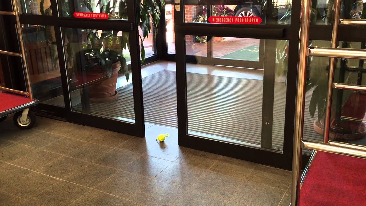 The Adventure of the Poor Minion and the Sliding Door