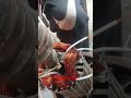 Untitled video