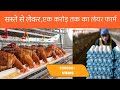 लेयर फार्म और ब्रॉयलर का पूरा सेटअप सस्ते में| Layer Farm and Broiler Farm Setup