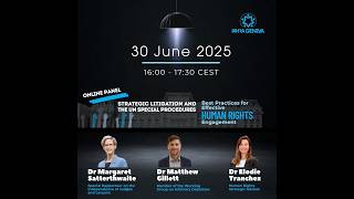 IAHRAG Online Panel on Strategic Litigation and the UN Special Procedures screenshot 1