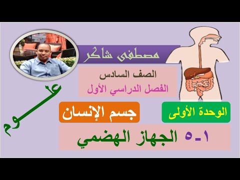 الجهاز الهضمي علوم الصف السادس منهج كامبردج الفصل الدراسي الأول سلطنة عمان