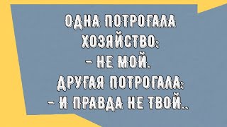 Потрогала хозяйство.... Подборка прикольных Анекдотов! Смех до слёз! Юмор! Шутки! Позитив!