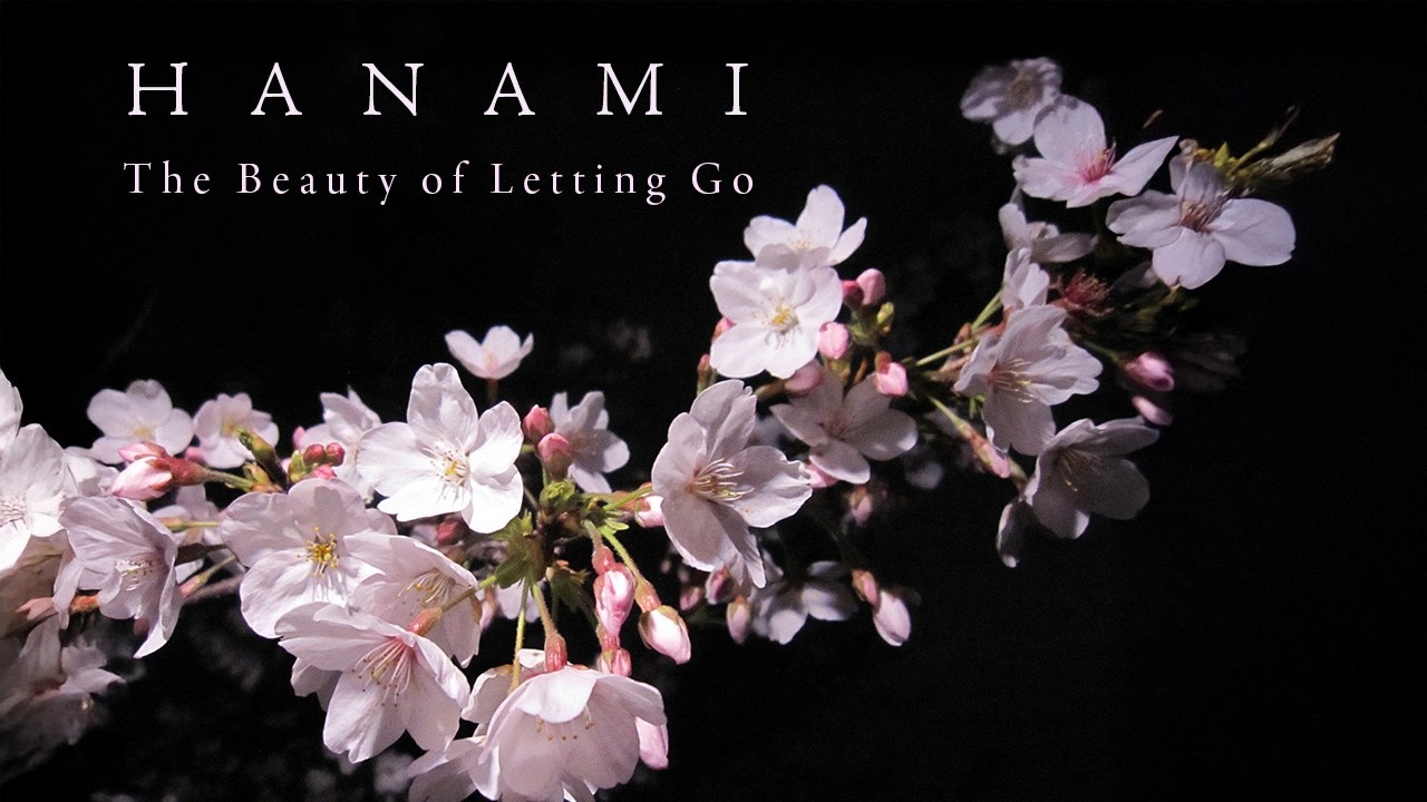 FULL CLIP-Sakura Cherry blossoms bloom in Tokyo : How do they