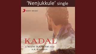 Video thumbnail of "A.R. Rahman - Nenjukkule"