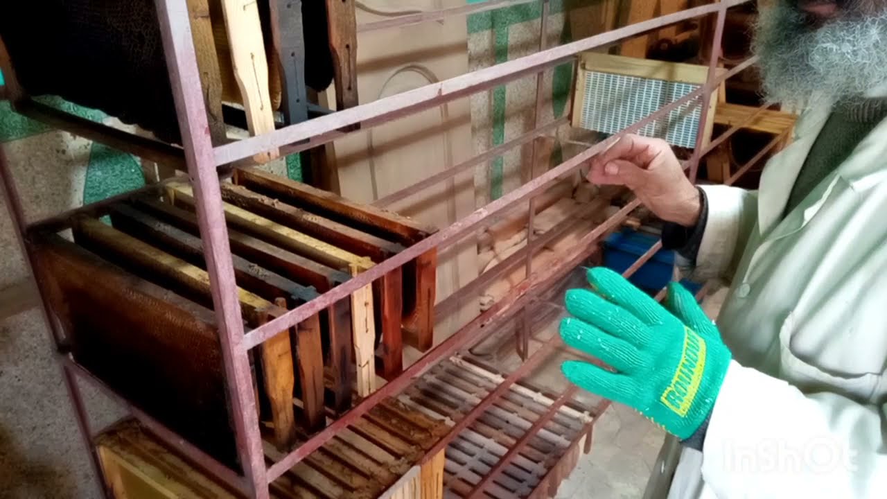 كيف تحافظ على اطارات النحل الممطوطة من دودة الشمع