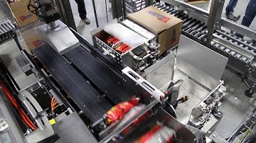 47436 BluePrint Automation (BPA) VPP Case Packerr for Snack Bags