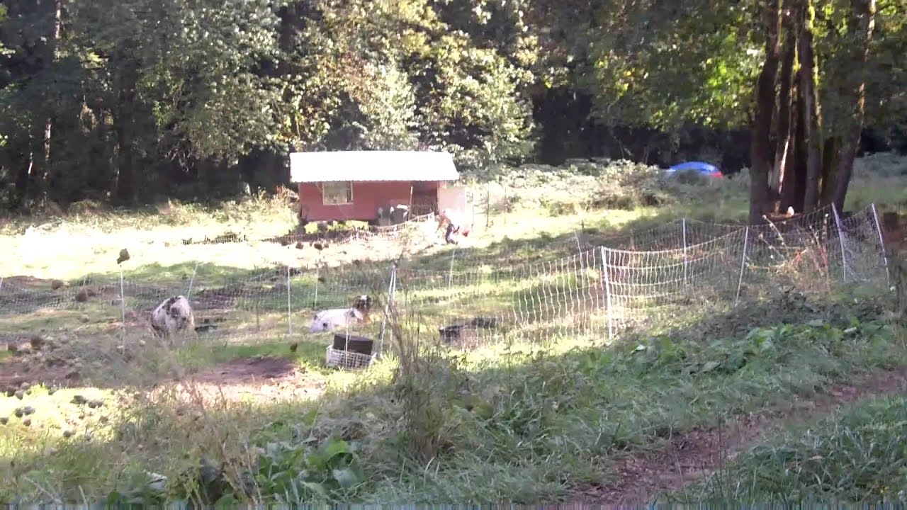 Tour of Tryon Life Community Farm- Cultural Recyclists