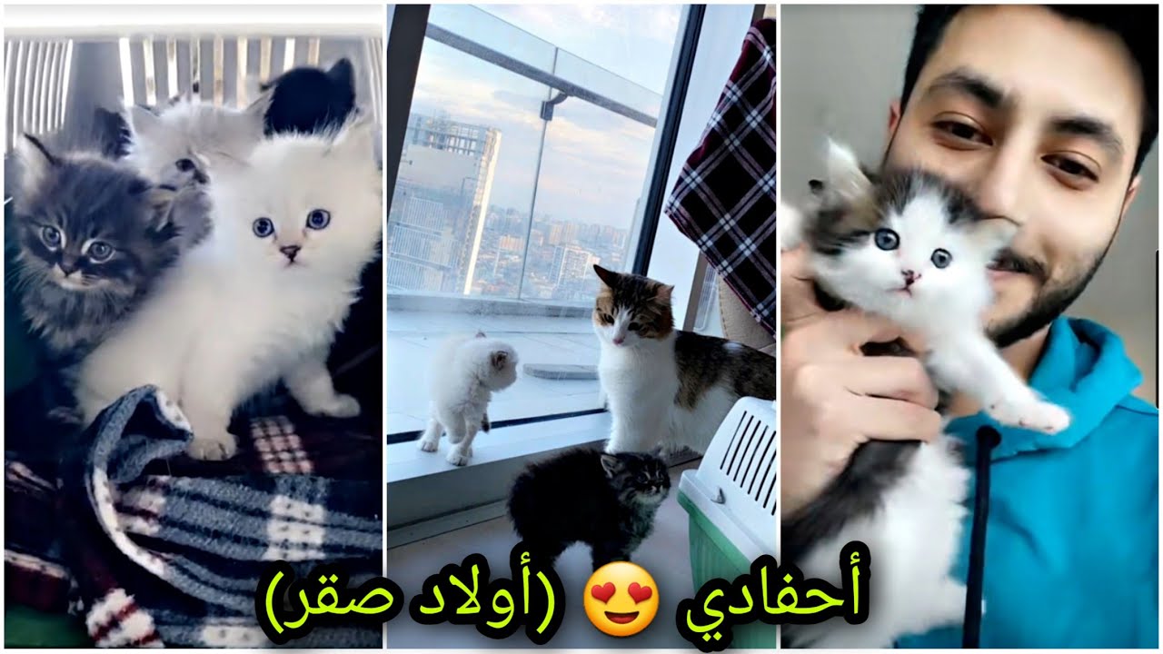 اللهم خلي لي أحفادي❤😍❤ ( أولاد صقر ) - الحناوي