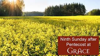 9th Sunday After Pentecost (7/26/26) - Sermon by The Rev. Lara Halsey