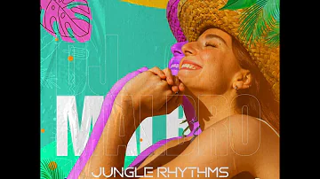 DJ Malbro - Jungle Rhythms | Tropical House Music Vol.1