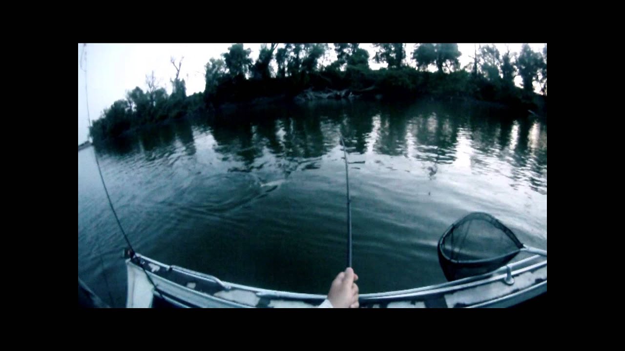 Knights Landing Striper YouTube