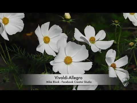 Vivaldi Allegro Mike Block