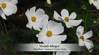 Vivaldi-Allegro - Mike Block Resimi