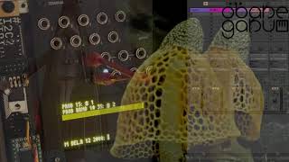 Flash Crash⁴ September 4th 2021(Teletype, I2C2Midi, Just Friends, Eurorack & Ableton)