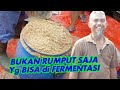 KALAU GA MAU NGARIT COBA PAKAI PAKAN FERMENTASI UNTUK TERNAK DOMBA KAMBING ANDA