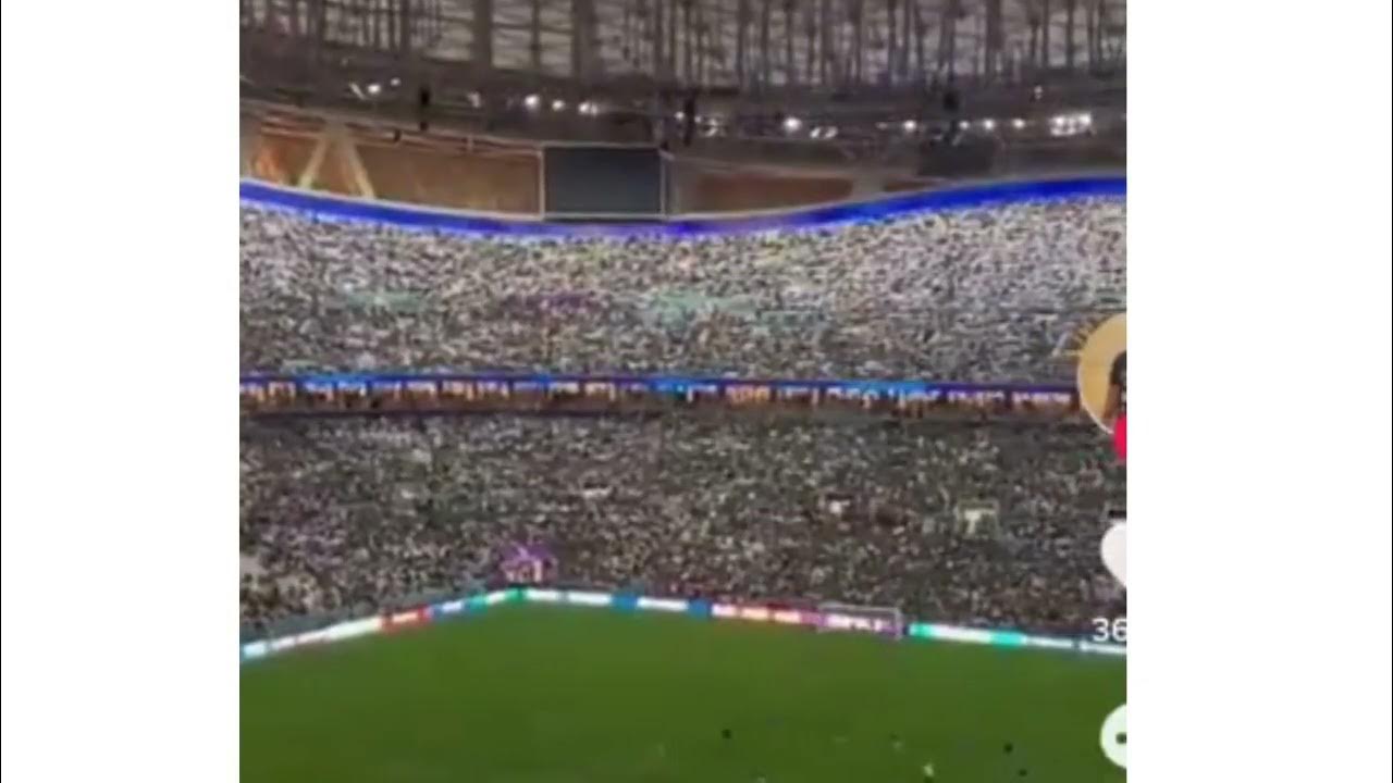 The moment fans at Qatar world cup 2022 sing Rema's song baby calmdown