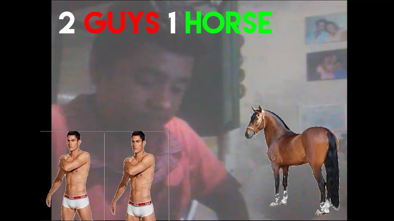 1 horse 2 guys video